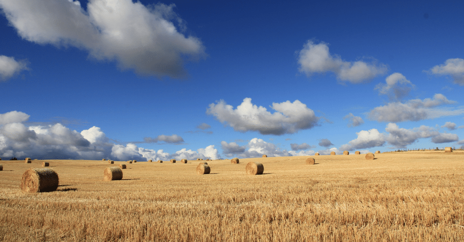 farmland